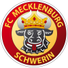 Schweriner SC U19