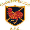 AFC Croesyceiliog