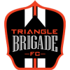 Triangle Brigade 
