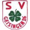 SV Geisingen