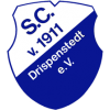 SC Drispenstedt