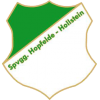 SpVgg Hopfelde/Hollstein