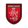 SSD Jesina Calcio Altyapı