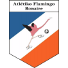 SV Atlétiko Flamingo