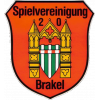 SpVg Brakel II