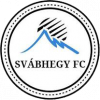 XII. Svábhegy FC