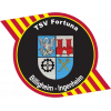 TSV Fortuna Billigheim-Ingenheim