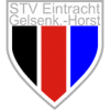 STV Eintracht Gelsenkirchen-Horst