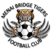 Menai Bridge Tigers