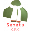 Sebeta Kenema FC