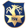 TSV Hirschaid