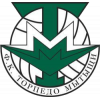 Torpedo Mytishchi (-1996)