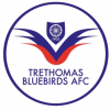 Trethomas Bluebirds