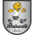 SC Corinthians Paranaense (-2017)