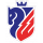 FC Botoșani