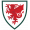 Wales U16